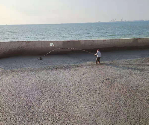 海南?；◢u